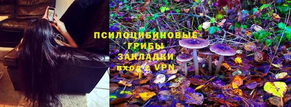 PSILOCYBIN Беломорск