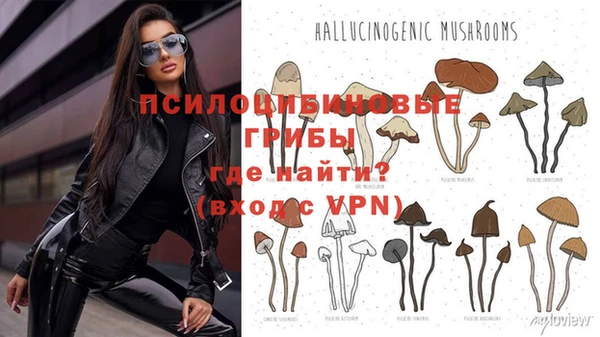 PSILOCYBIN Беломорск